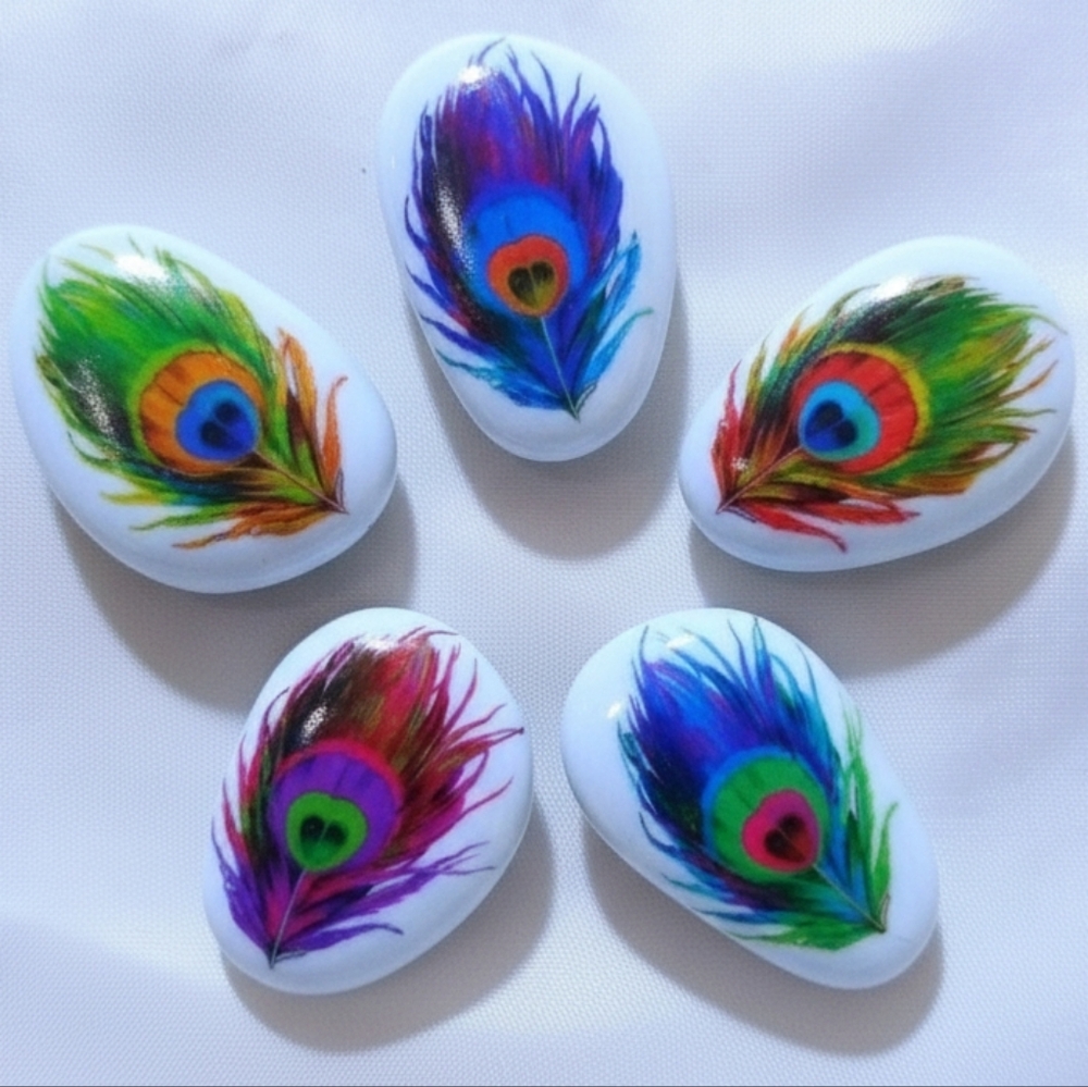 Magical Feather Fridge Magnets Office Magnet set of 5
